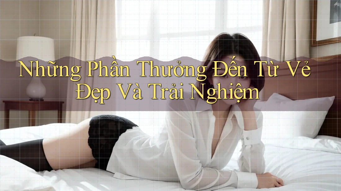 Những Phần Thưởng Đến Từ Vẻ Đẹp Và Trải Nghiệm Những Phần Thưởng Đến Từ Vẻ Đẹp Và Trải Nghiệm